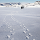 A photo of footprints in the arctic snow with two figures walking in the distance.